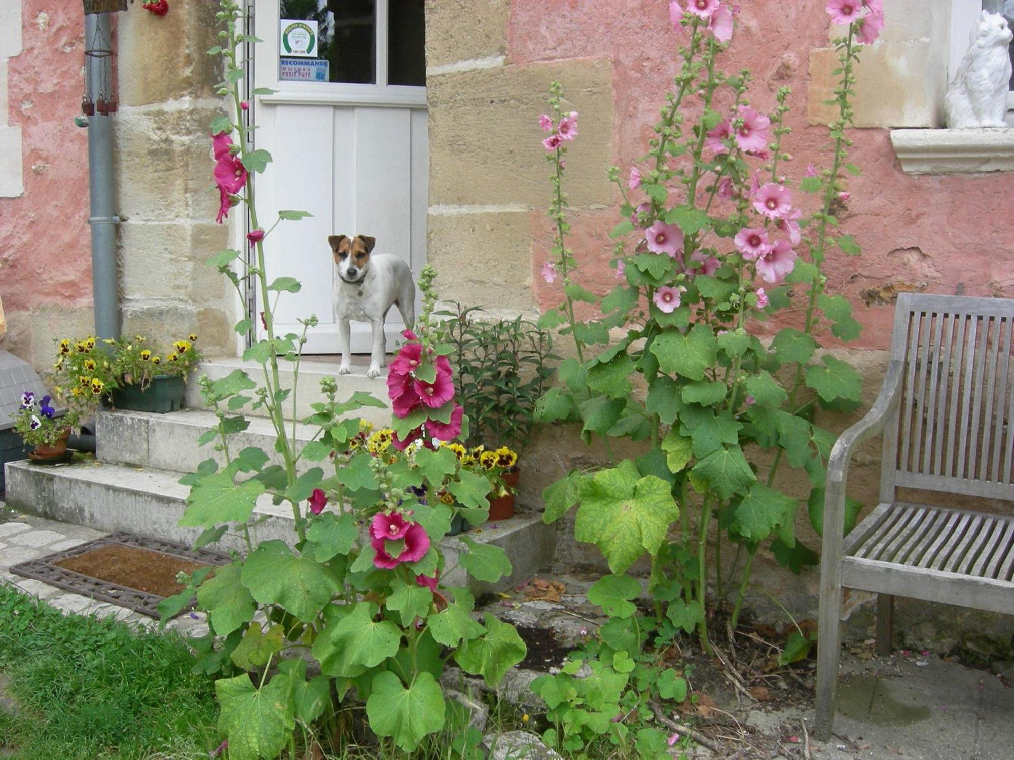 La Ferme Rose Bed & Breakfast Cergy Eksteriør bilde